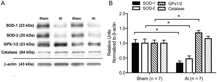 FIGURE 5: