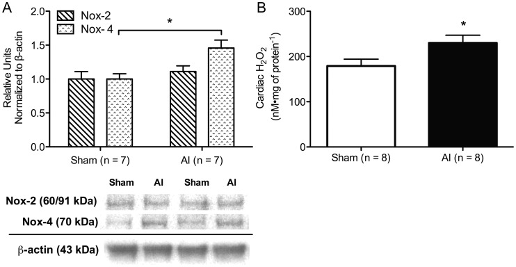 FIGURE 6: