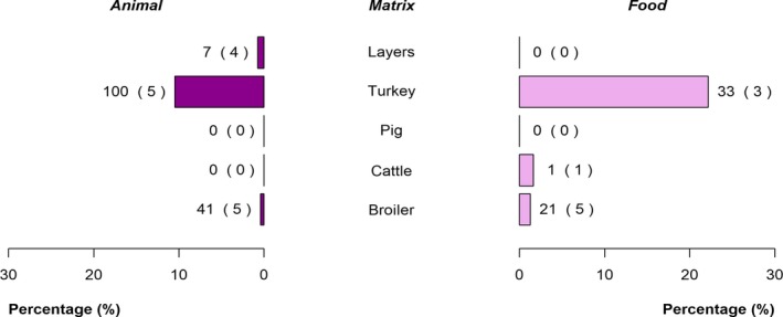 Figure 25