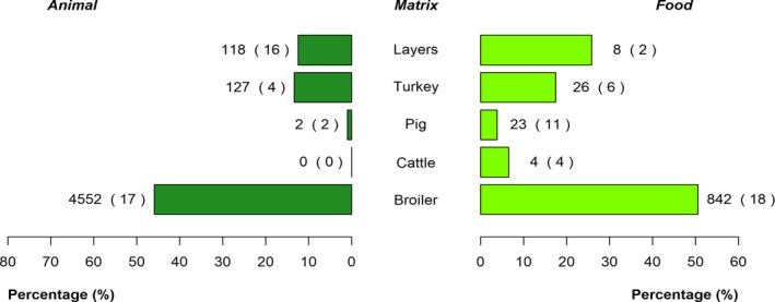 Figure 24