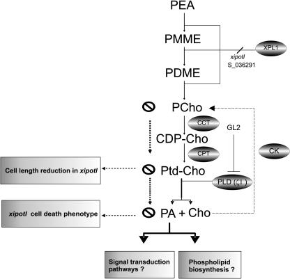 Figure 9.