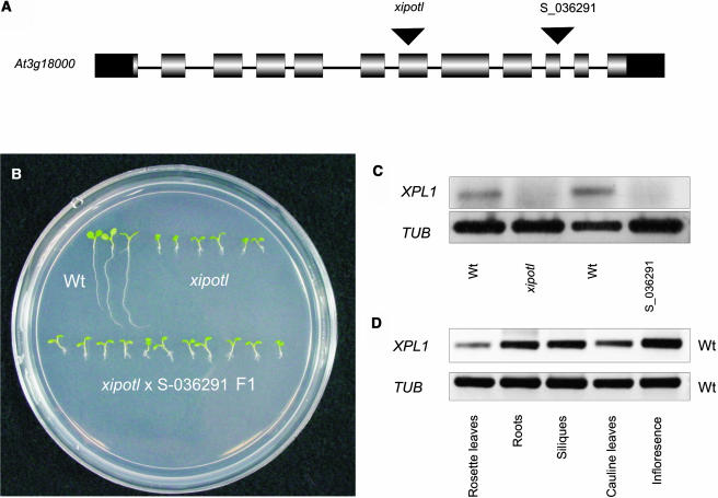 Figure 2.