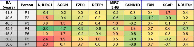 Fig. 4