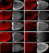 Fig. 4