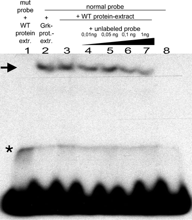 Fig. 8