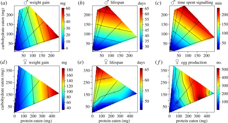 Figure 1.