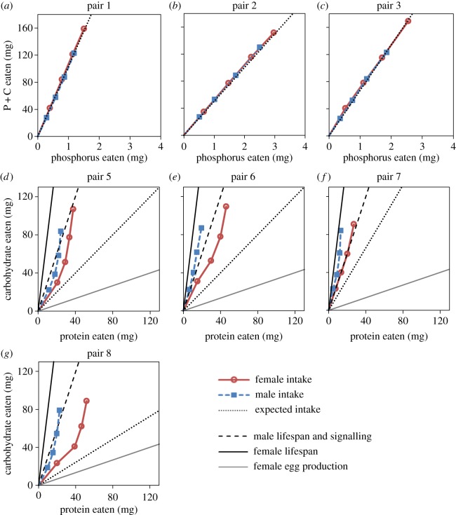 Figure 3.