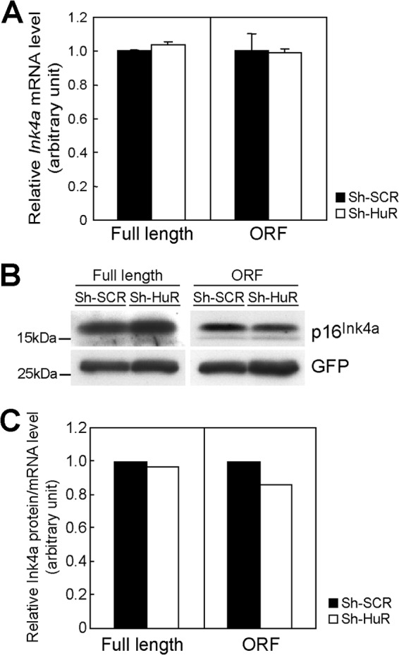 Fig 9