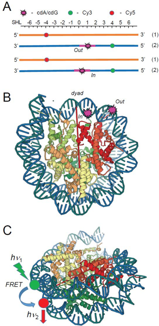 Figure 2.