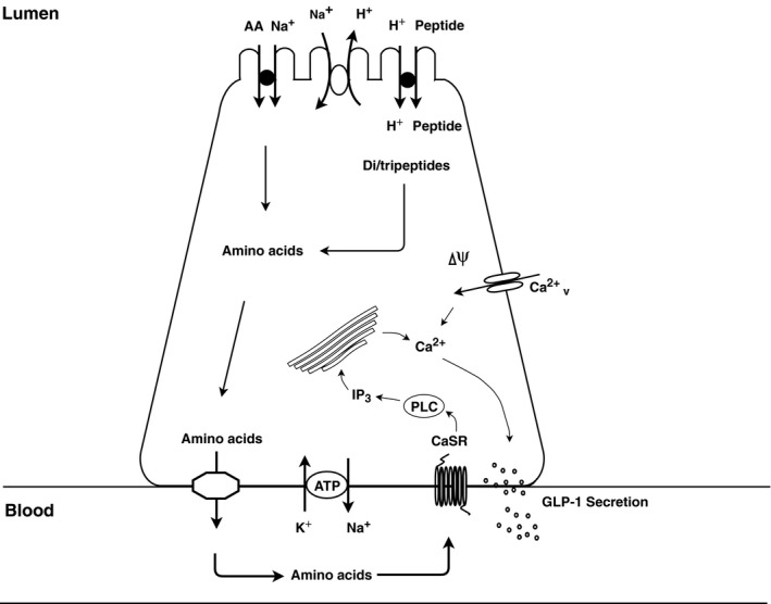 Figure 5