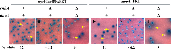 FIG 5