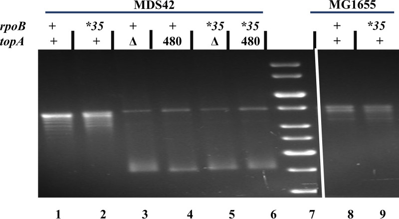 FIG 2