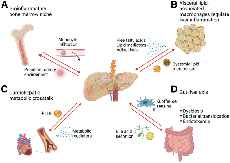 Figure 2