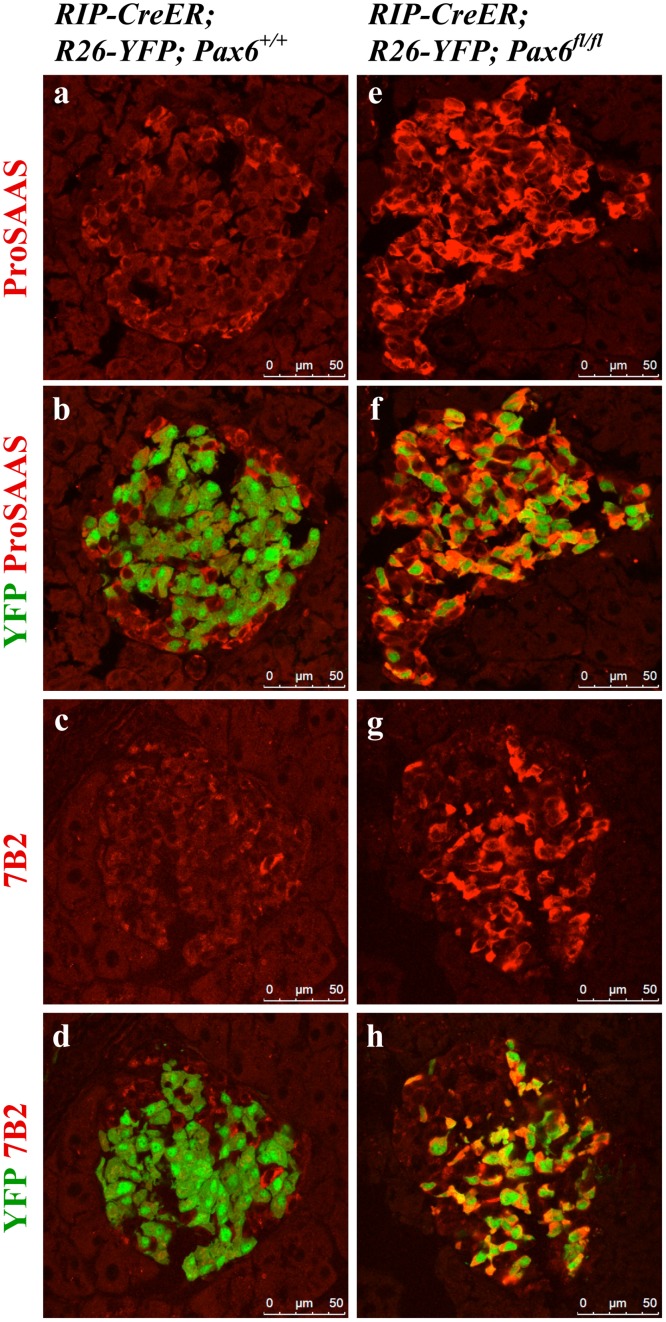 Fig 12