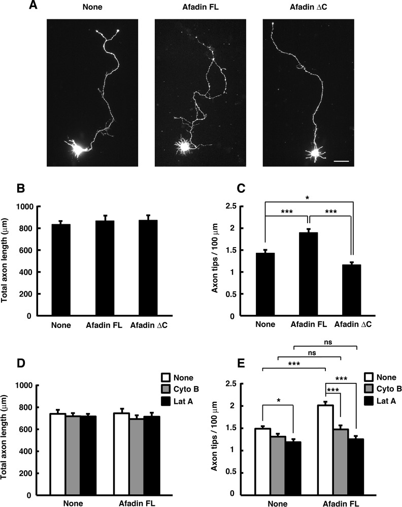 FIGURE 10: