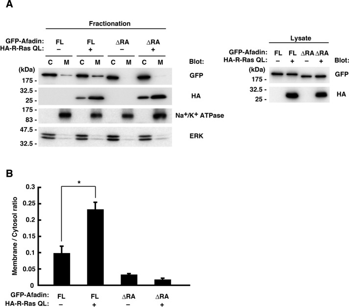 FIGURE 7: