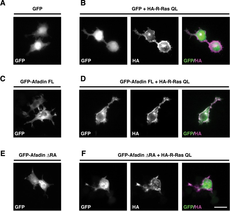 FIGURE 6: