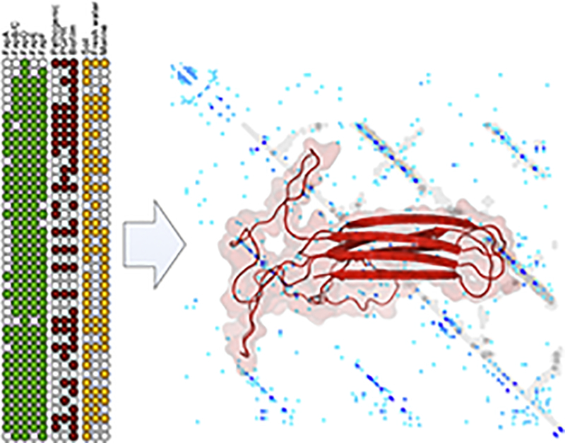 Unlabelled Image