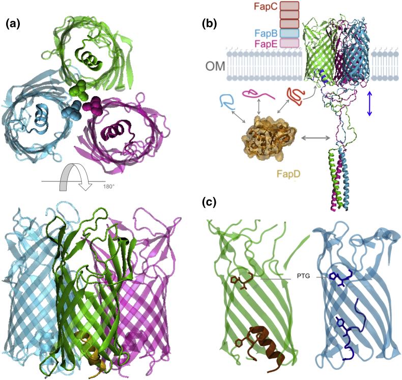 Fig. 3