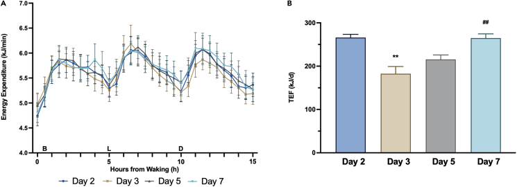 Figure 4