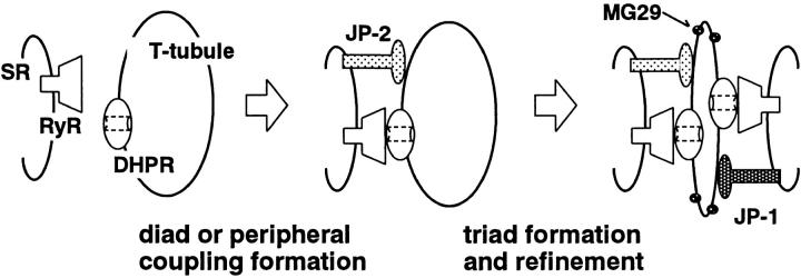 Figure 8.