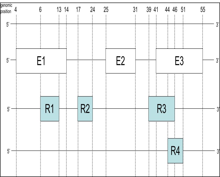 Figure 1.