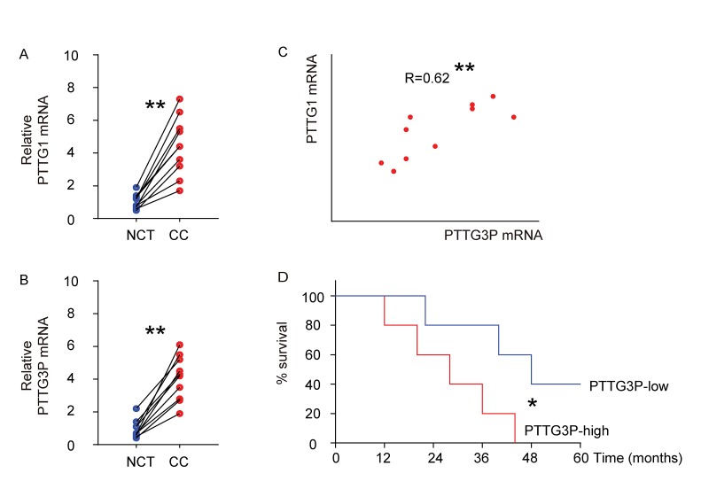 Figure1