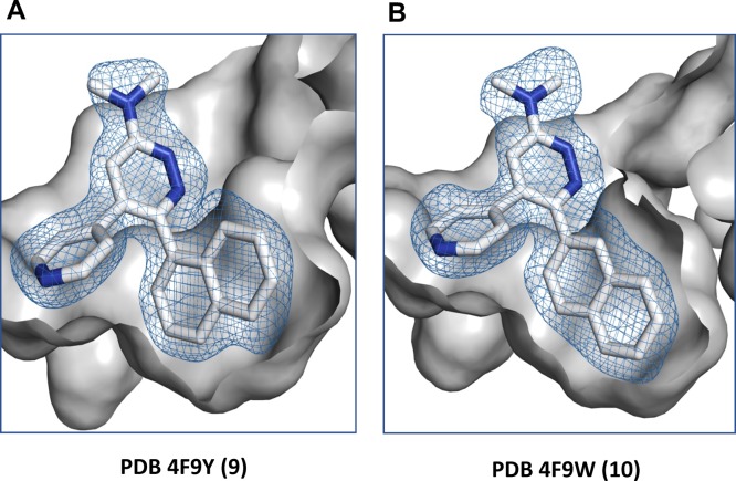 Figure 5