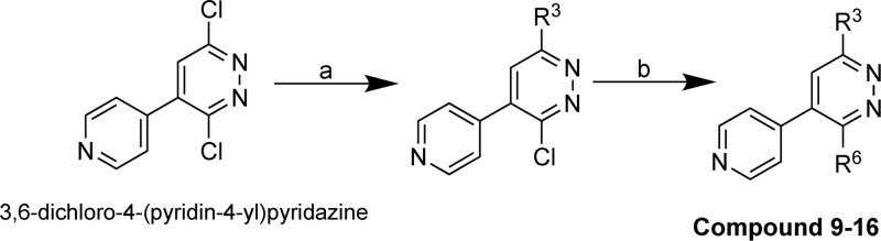 Scheme 2