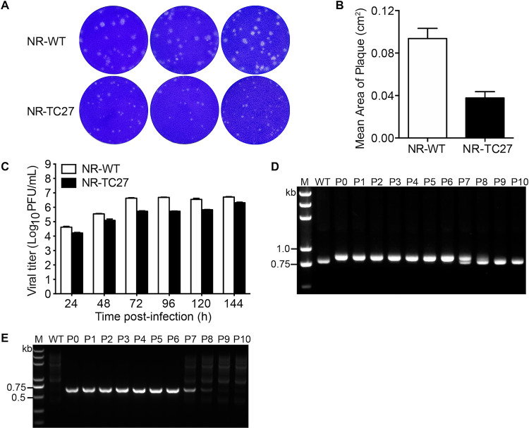 FIG 3