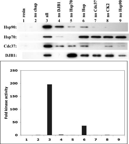 Fig 7.