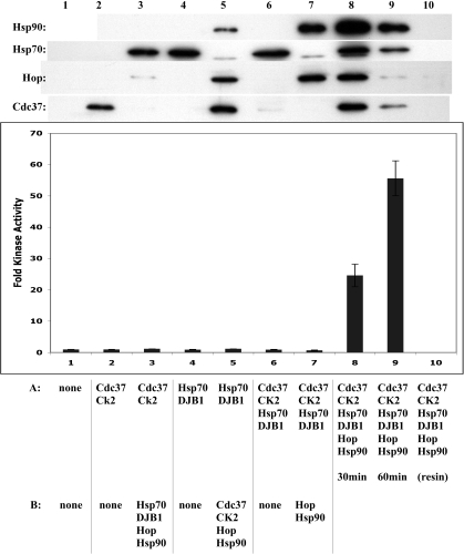 Fig 6.