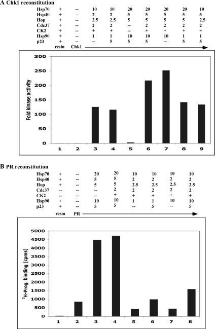 Fig 1.