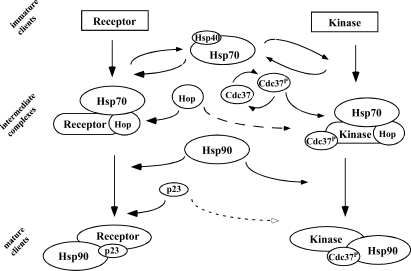 Fig 8.