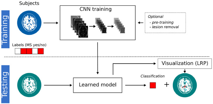 Fig. 1