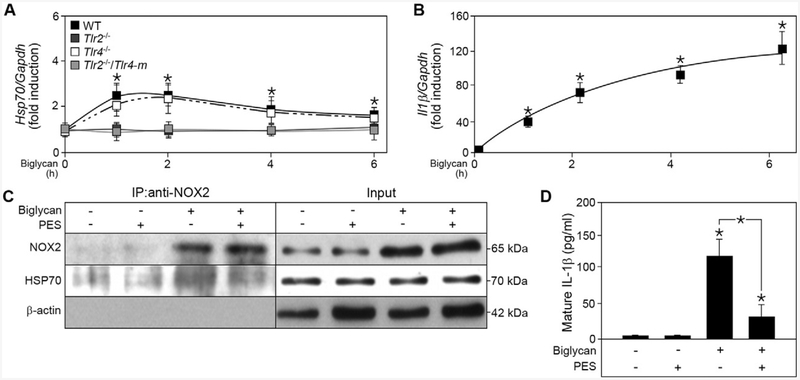 Fig. 8.