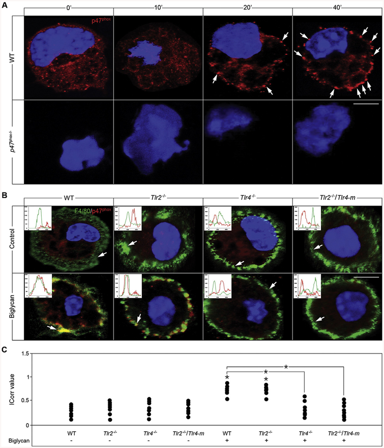 Fig. 4.