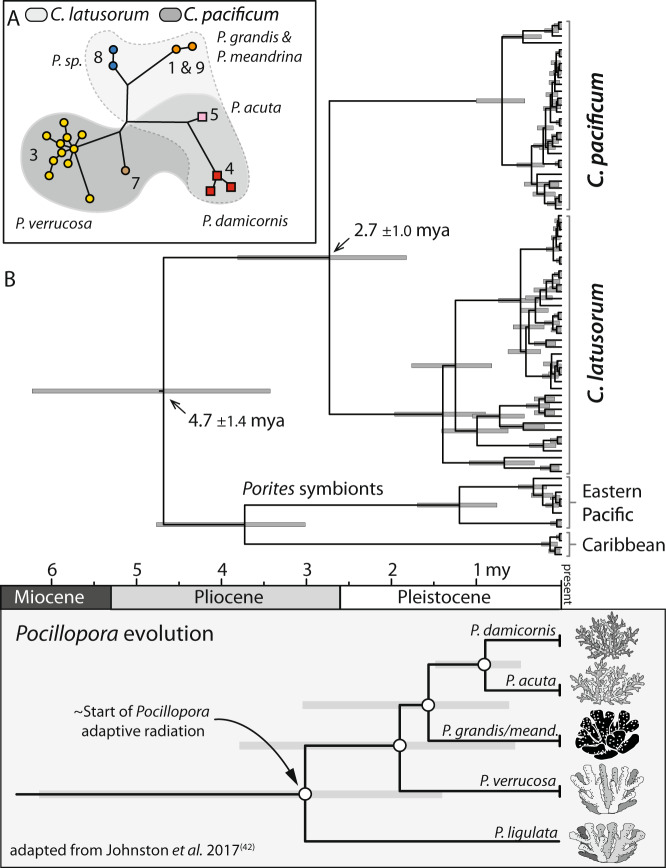 Fig. 4