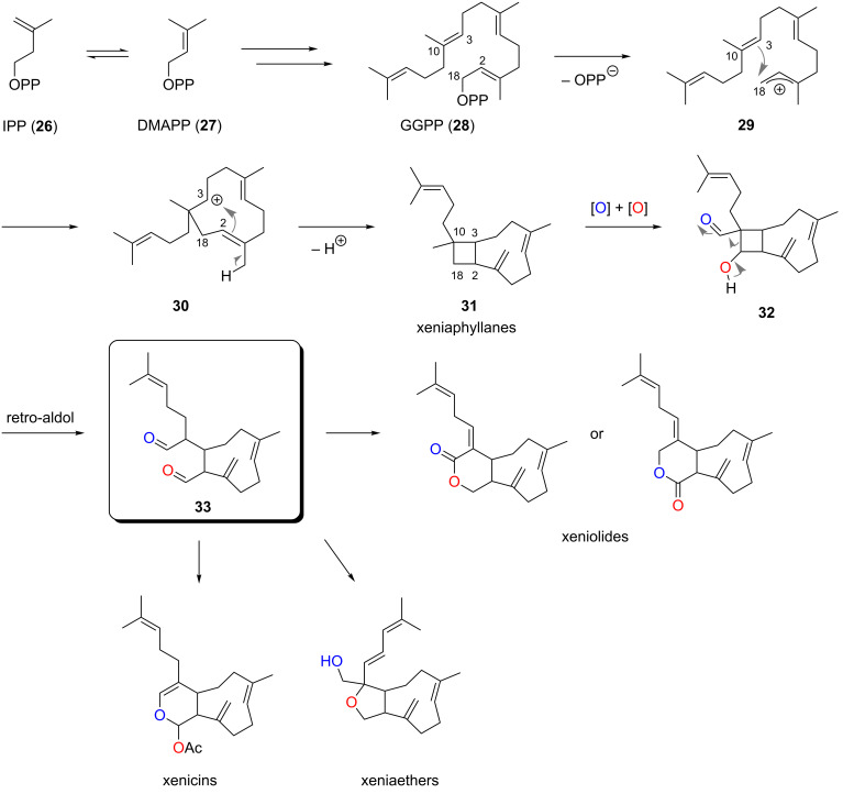 Scheme 1