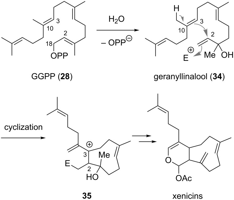 Scheme 2