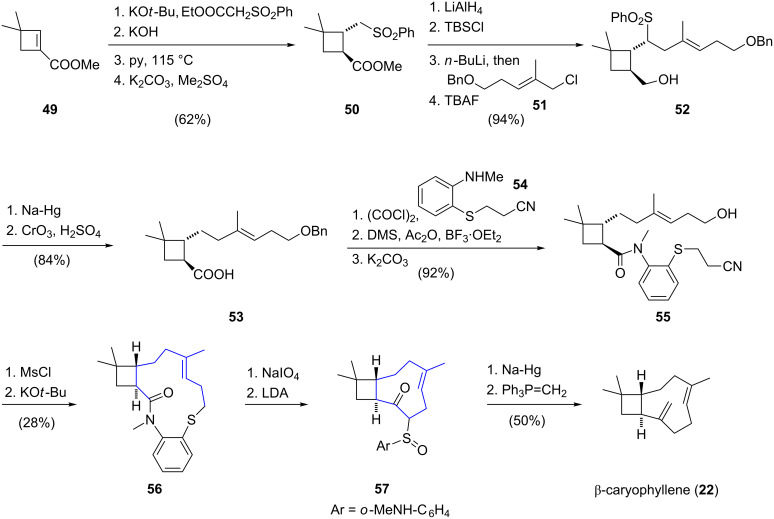 Scheme 5