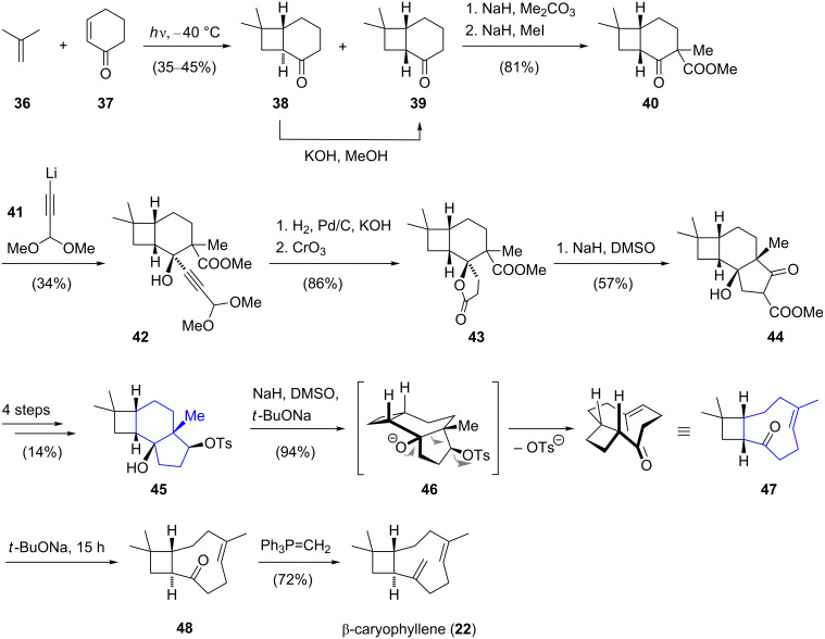 Scheme 4