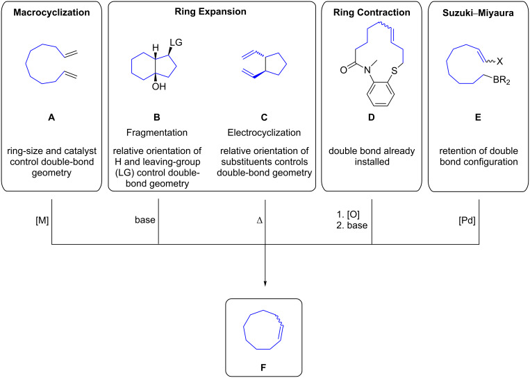 Scheme 3