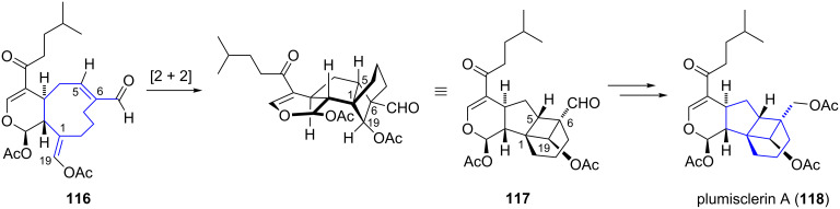 Scheme 12