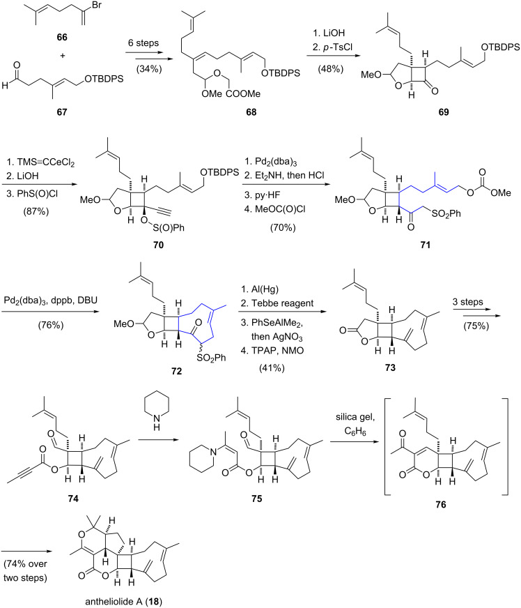 Scheme 7