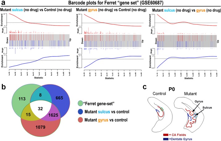 Figure 6—figure supplement 3.