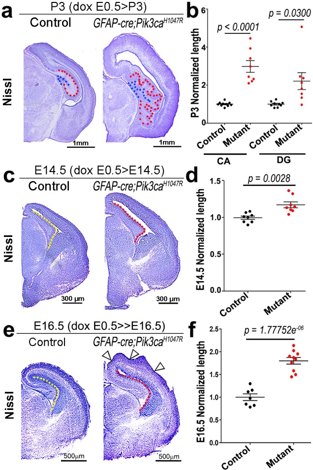 Figure 1—figure supplement 3.