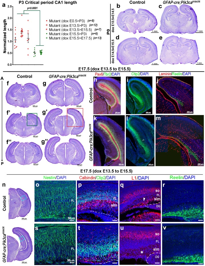 Figure 3—figure supplement 1.