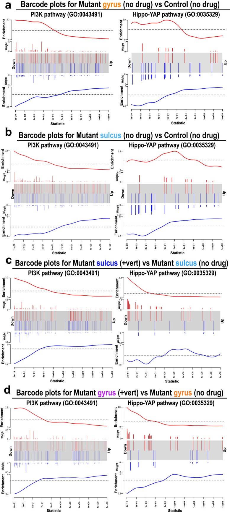 Figure 6—figure supplement 2.