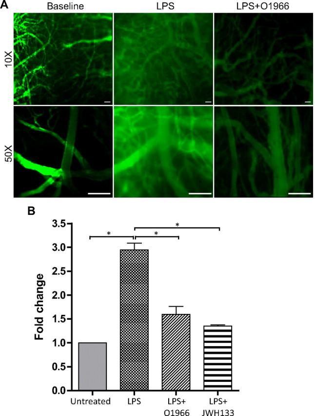 Figure 7.